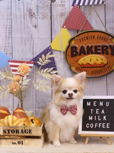 20240905ヴィヴィちゃん